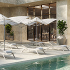 Africa Sun Lounger (Set of 2)