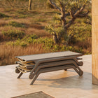 Africa Sun Lounger (Set of 2)