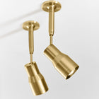 Sean Lavin Ace Task Head Light