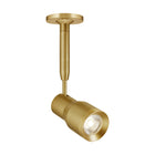 Sean Lavin Ace Task Head Light