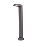 Colorscaping Outdoor Ledge LED Path Light