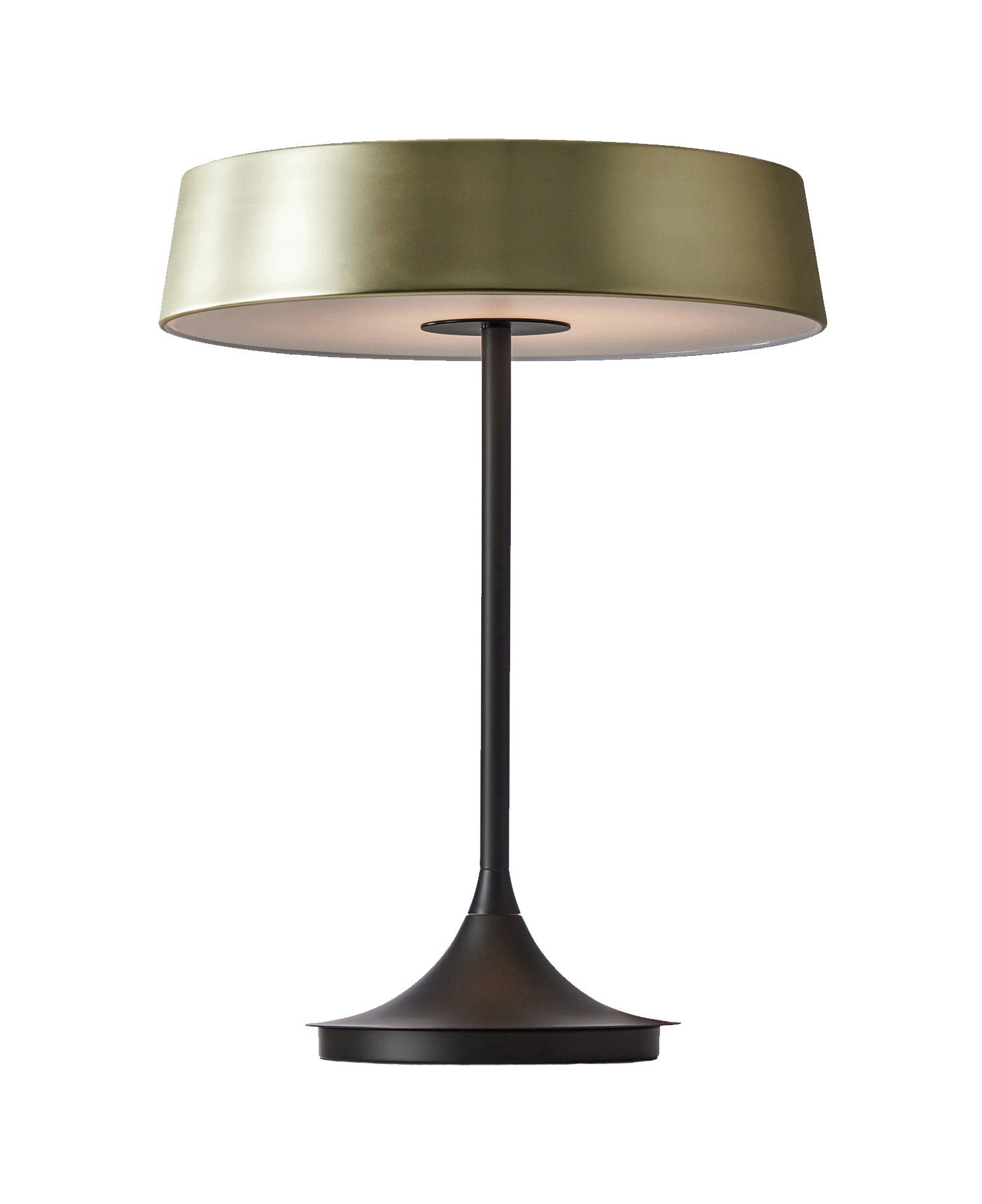 在庫一掃】【在庫一掃】Arya Traditional Table Lamp 卓上ライト