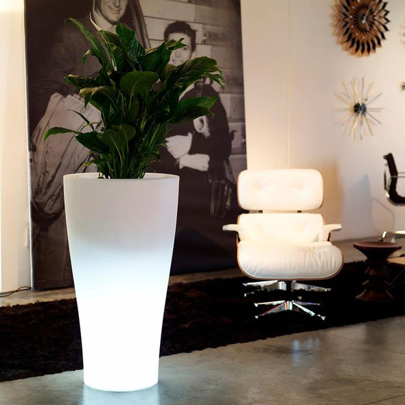 Illuminated Curvada Planter