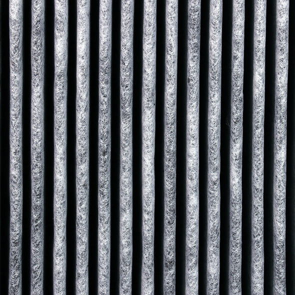 Roger Little Dual Filter