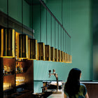 Cirio Lineal Linear Pendant Light