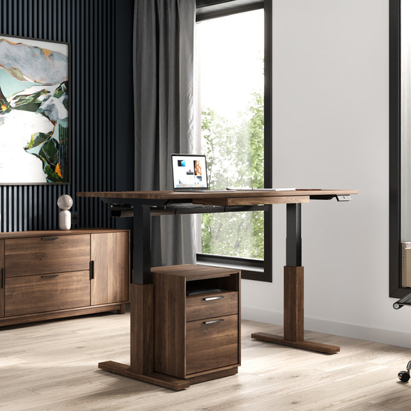 Invigo Standing Desk with Drawer