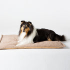Richard Slim Wool Dog Cushion