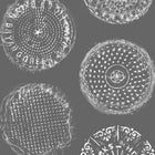 Brooklyn Manhole Wallpaper Sample Swatch