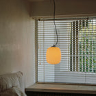 Globo Cesta Pendant Light