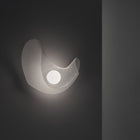Mytilus LED Wall Light