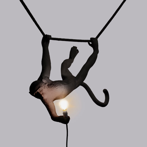 Monkey Outdoor Swing Lamp