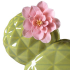 Opuntia Cactus Diffuser