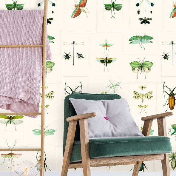 Entomology Wallpaper