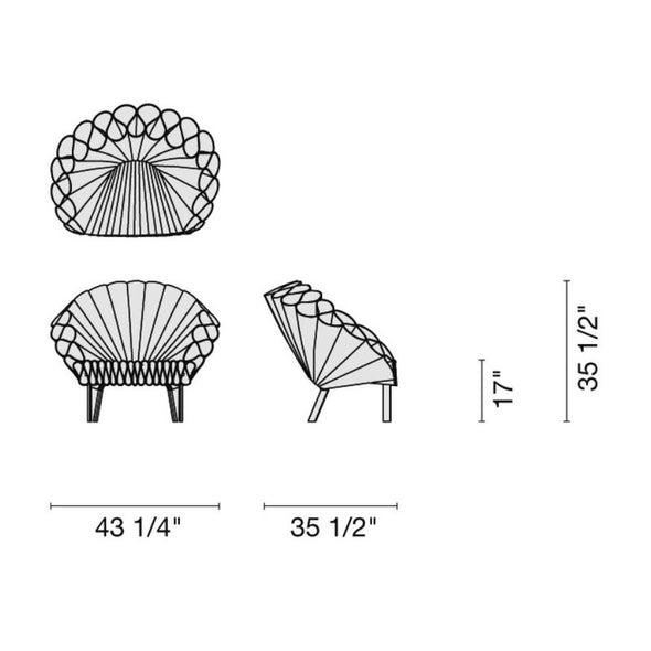 Peacock Chair