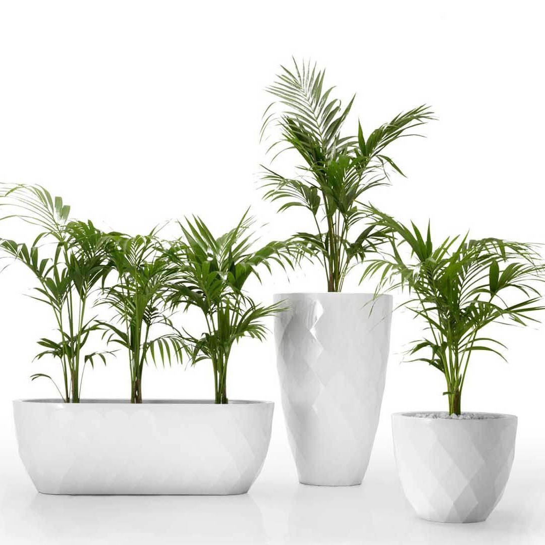 Vondom Vases Planter - 2Modern, image size:1080x1080