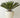 100 Pineapple Planter  Gloss Studio White David Cressey AP OPEN BOX