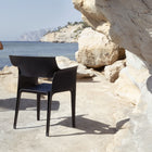 Pedrera Armchair (Set of 4)