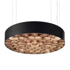 Spiro LED Suspension Light