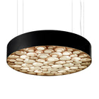 Spiro LED Suspension Light