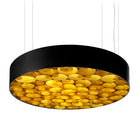 Spiro LED Suspension Light