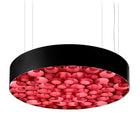 Spiro LED Suspension Light