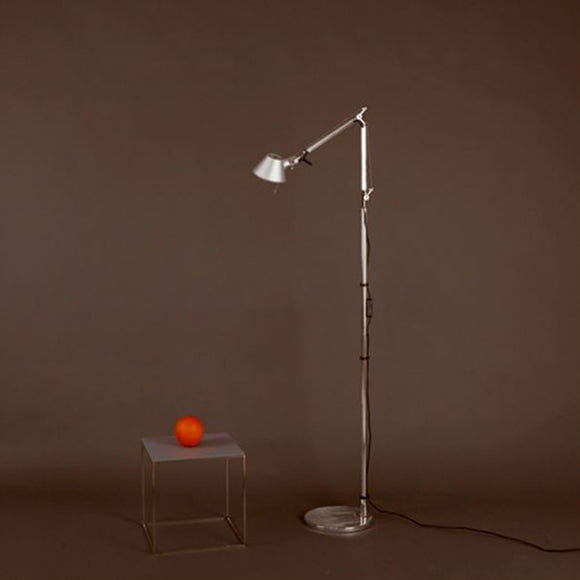 Tolomeo Micro Floor Lamp