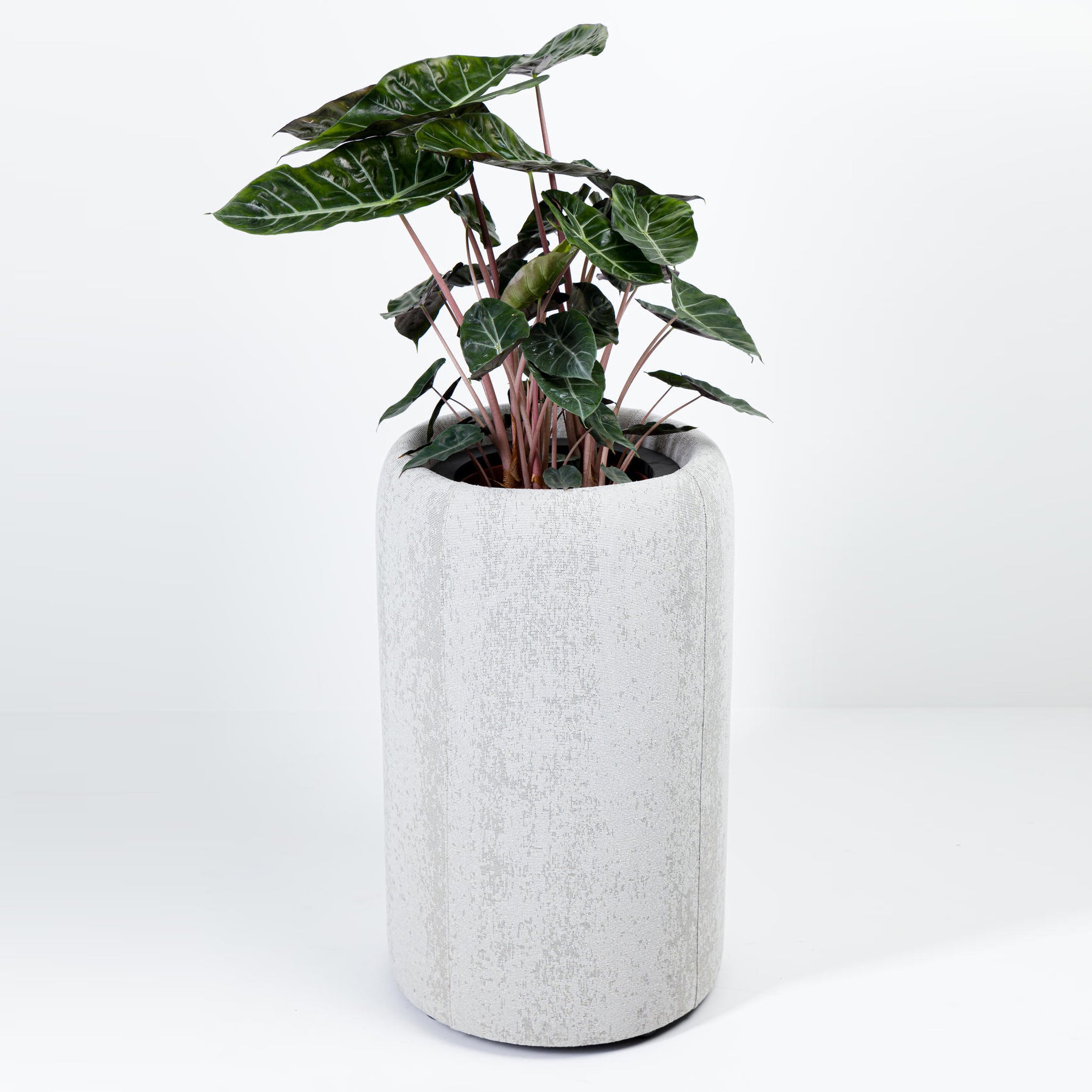 BuzziSpace BuzziPlanter Drum Planter in BuzziFabric Electric, Size: Medium