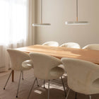 Asteria Pendant Light