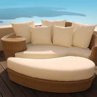 Back Throw Pillow