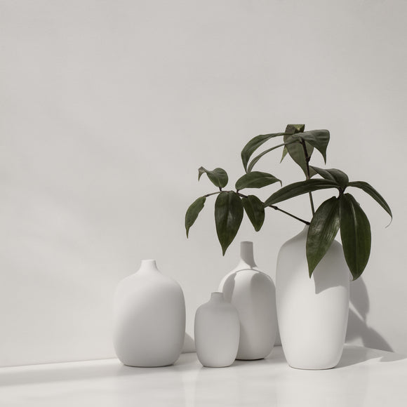 Ceola Vase (Set of 2)