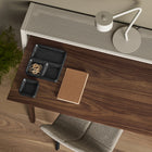Cant Desk