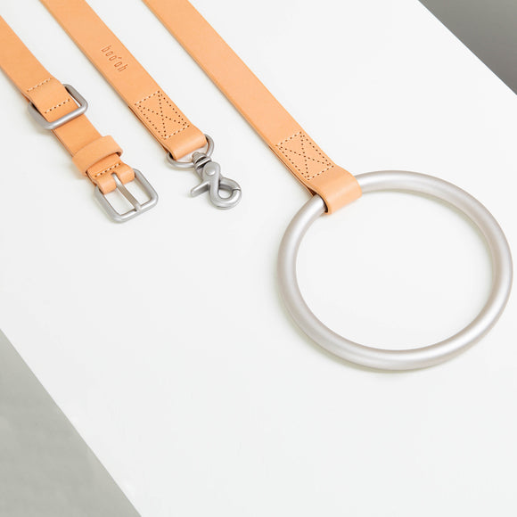 Lumi Leash and Collar Set