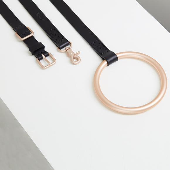 Lumi Leash and Collar Set