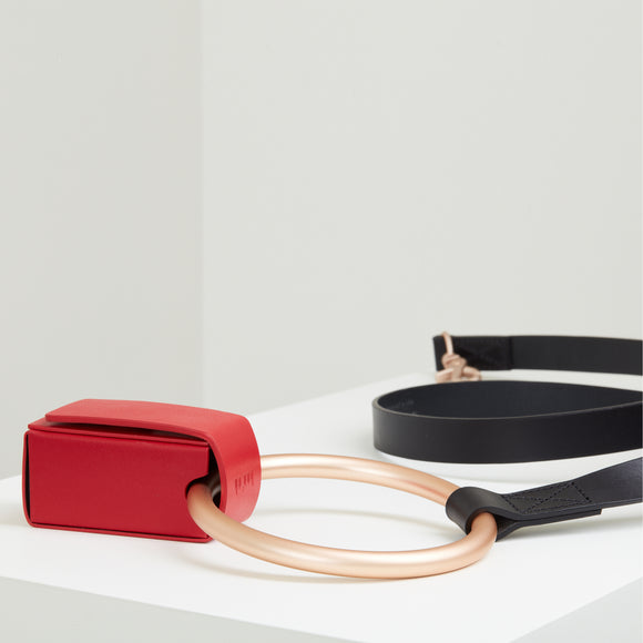 Lumi Leash and Collar Set