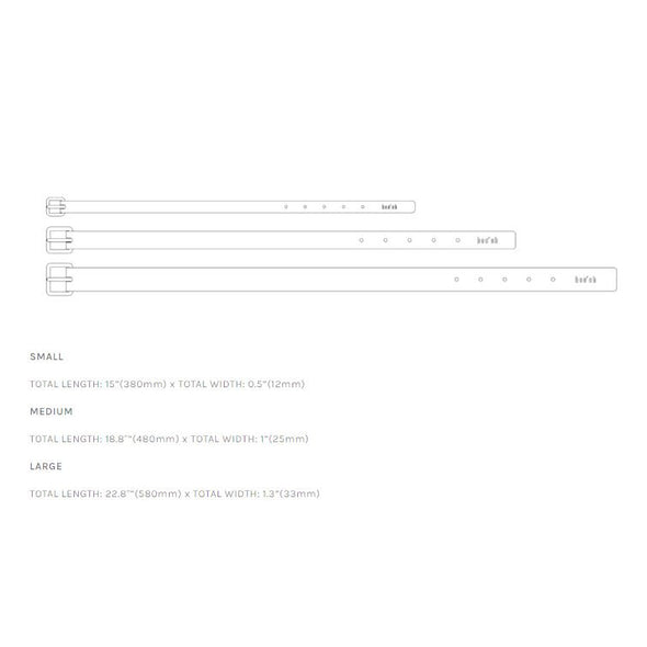Lumi Leash and Collar Set