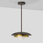 Carapace Pendant Light with Drop Rod