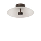 Cielo Wall/Ceiling Light