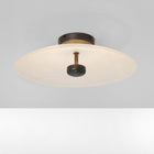 Cielo Wall/Ceiling Light