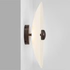 Cielo Wall/Ceiling Light
