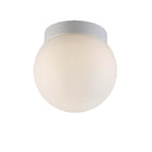 Niveous Wall / Ceiling Light