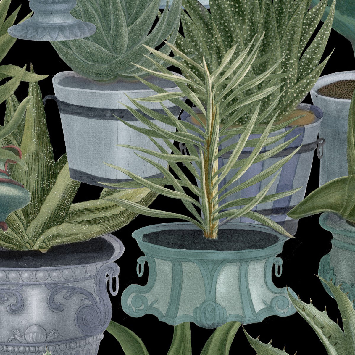 Mind The Gap Echeveria Wallpaper Sample Swatch - 2Modern