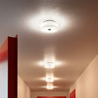Mini Button Wall / Ceiling Light