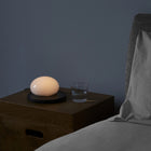 Bolita Touch and Adjustable LED Table Lamp