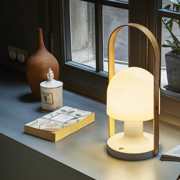 FollowMe Plus Indoor/Outdoor Portable Lamp