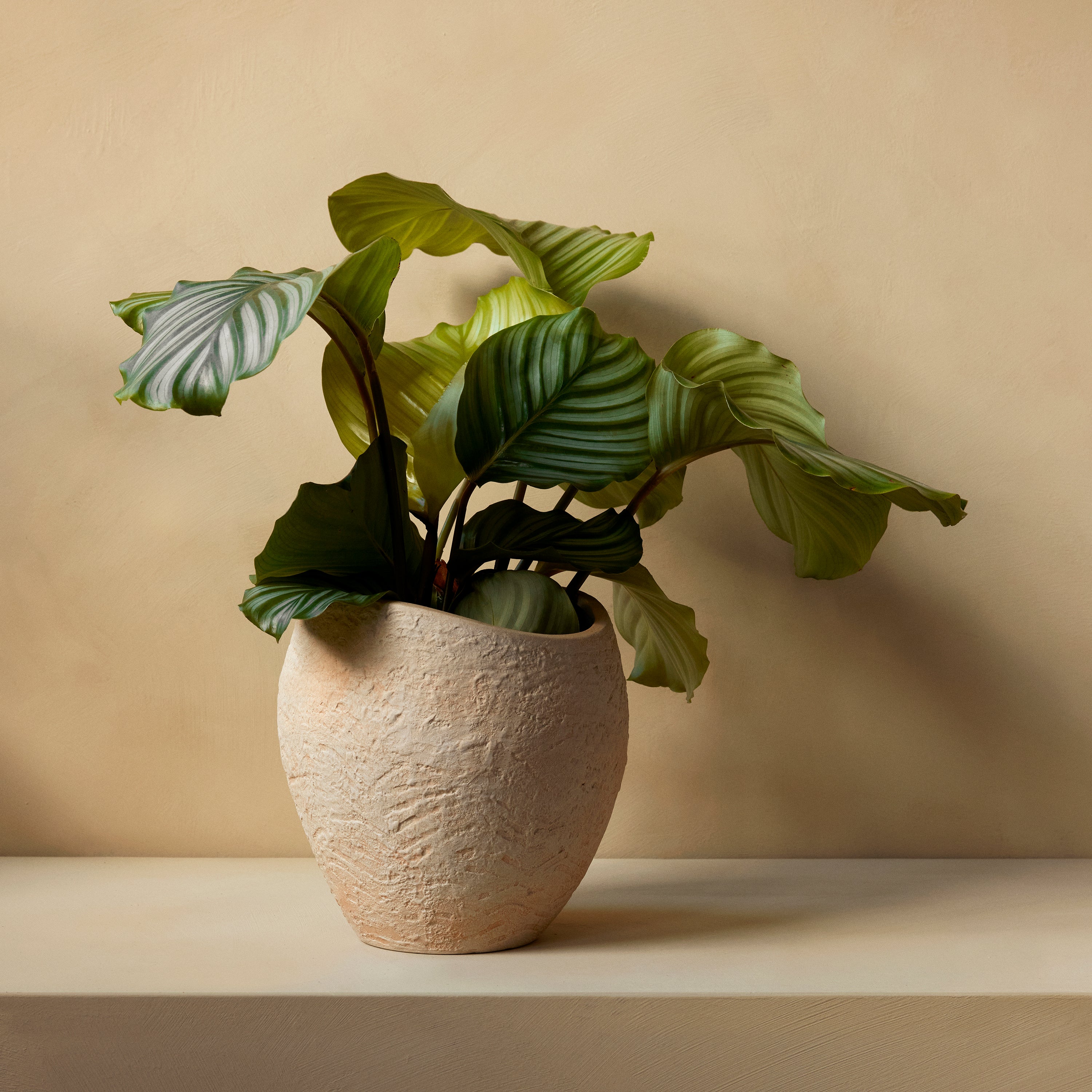 Audo Copenhagen Plantas Planter by Menu Design now Audo Copenhagen 2Modern