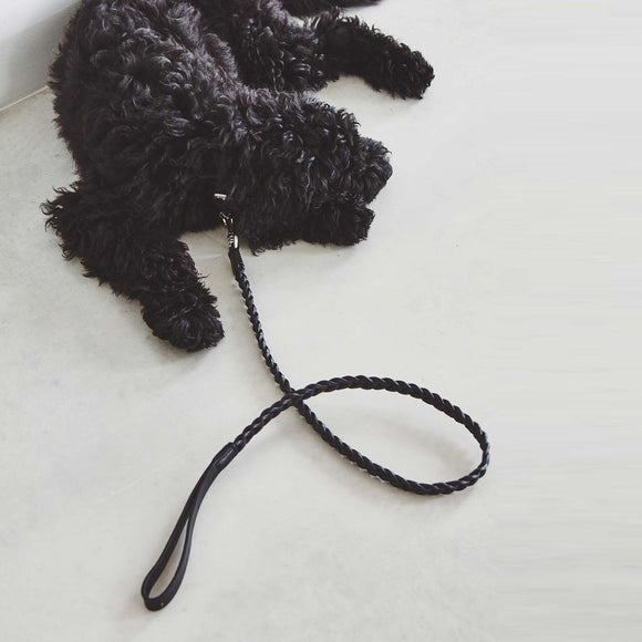 Bergamo Dog Collar Set