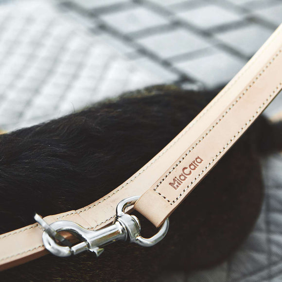 Bergamo Dog Collar Set