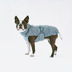 Stefano Winter Dog Coat