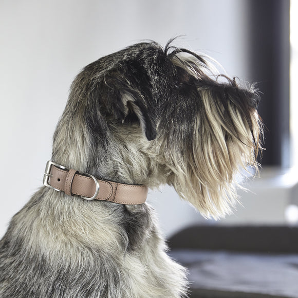 Torino Dog Collar Set