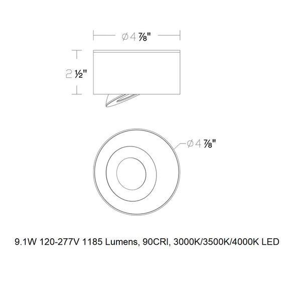 I Spy LED Outdoor Flush Mount